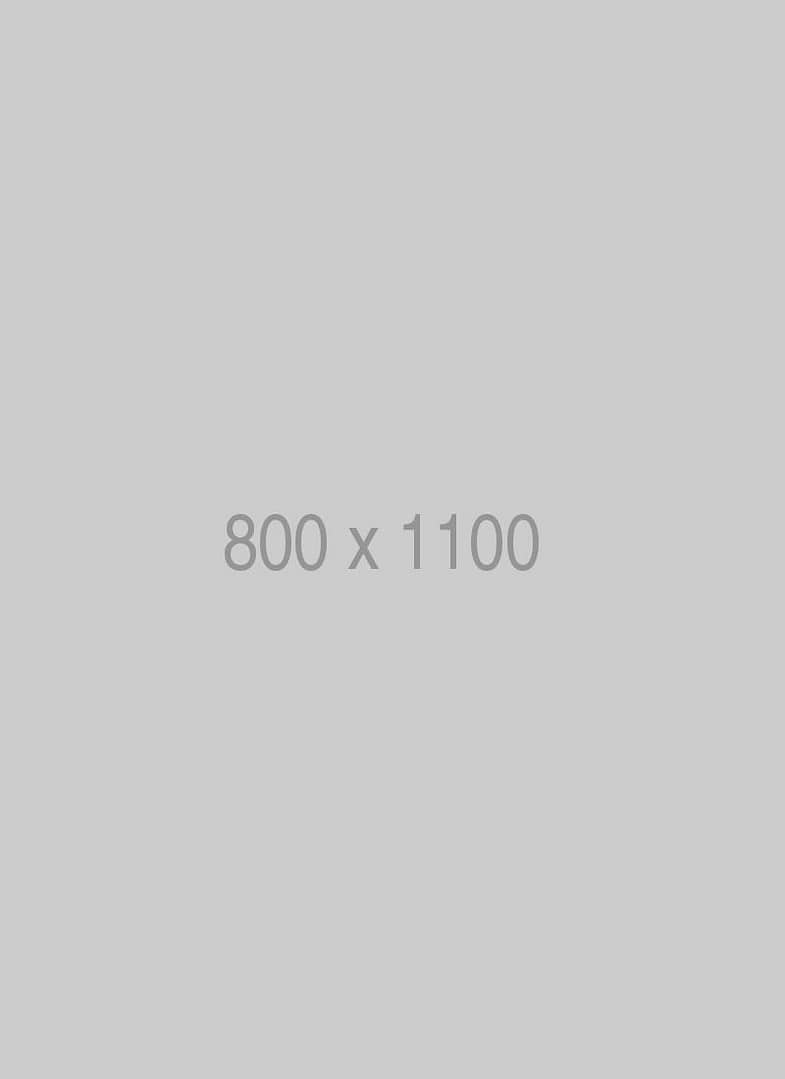 litho 800x1100 ph